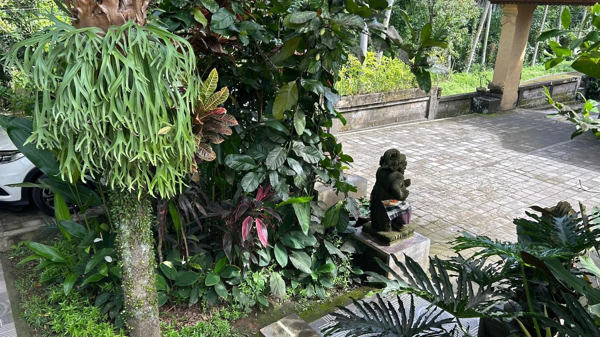 Balimas Guest House Ubud